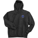 Carolina Thunder Super Heavyweight Fleece Hoodie