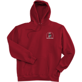 Phila Revolution Ultimate Cotton - Pullover Hooded Sweatshirt