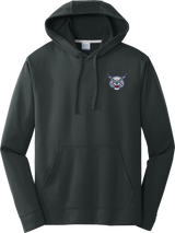 CT Bobcats Performance Fleece Pullover Hooded Sweatshirt